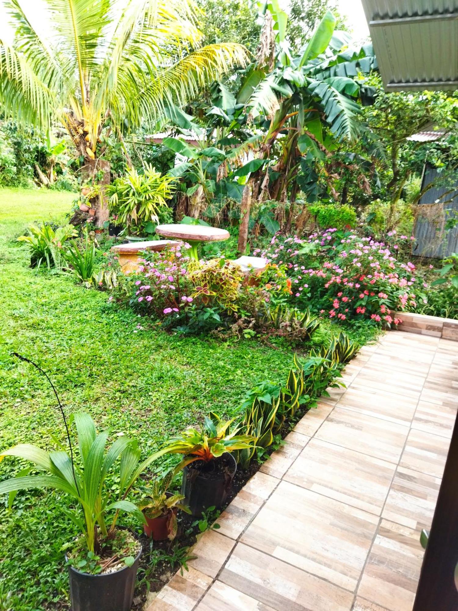 Bijagua Paradise Rio Celeste Room photo